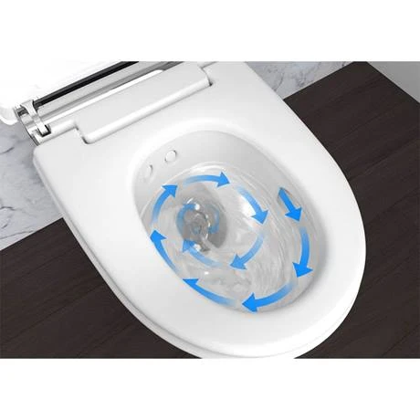Geberit AquaClean Alpine White Mera Comfort Rimless Wall Hung Shower WC 2 Geberit AquaClean Alpine White Mera Comfort Rimless Wall Hung Shower WC - Image 2